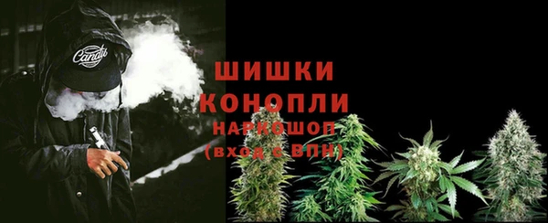 PSILOCYBIN Баксан