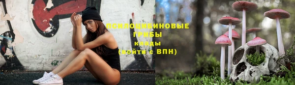 амф Белокуриха