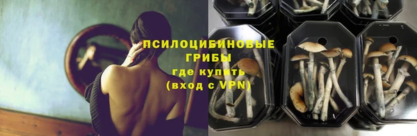 сатива Балахна