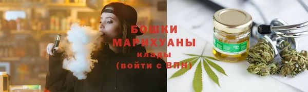 сатива Бронницы