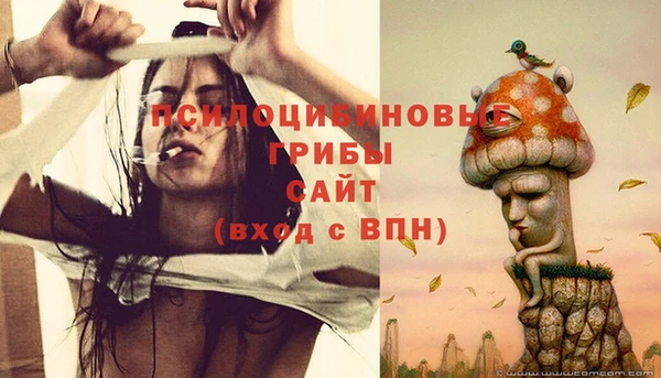 PSILOCYBIN Баксан